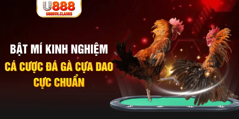 lucky 88 casino hồ tràm có cho người việt vào không