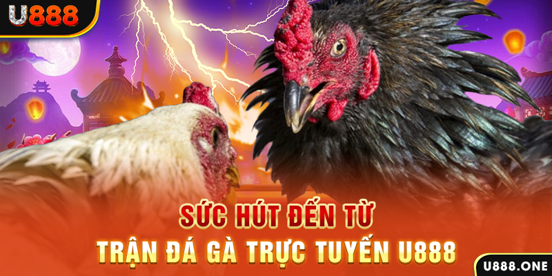 lucky 88 đăng nhập poker 2024