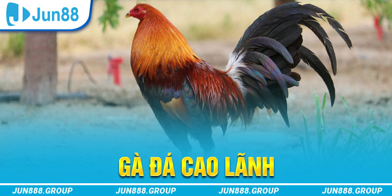 lucky 88 tai game vua bai ve may tinh