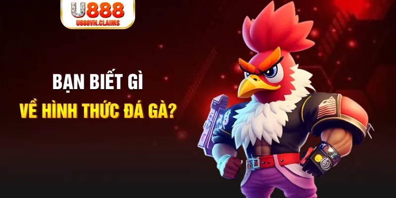 lucky 88 đăng nhập liêng tặng tiền