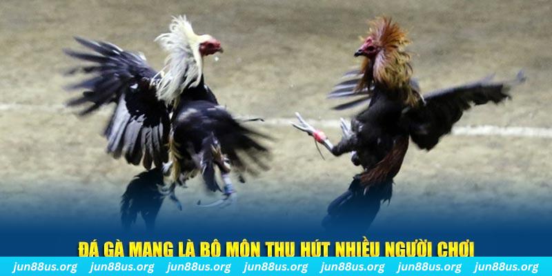 lucky 88 đăng nhập sòng bạc số 1