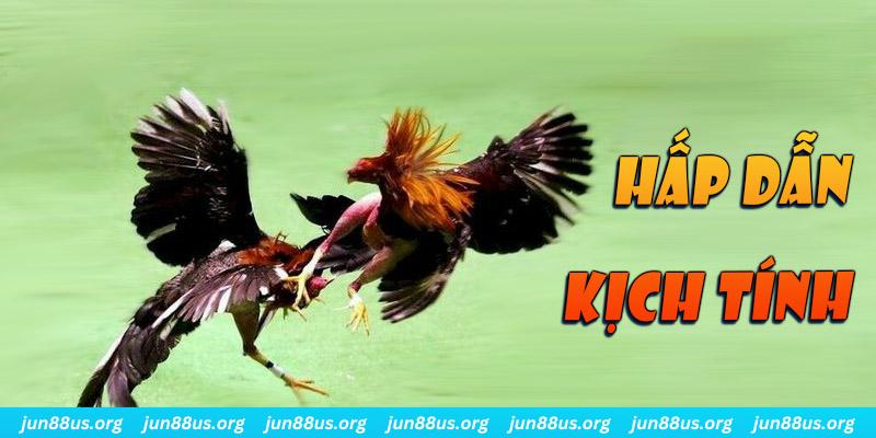 lucky 88 xổ số miền nam thứ sáu