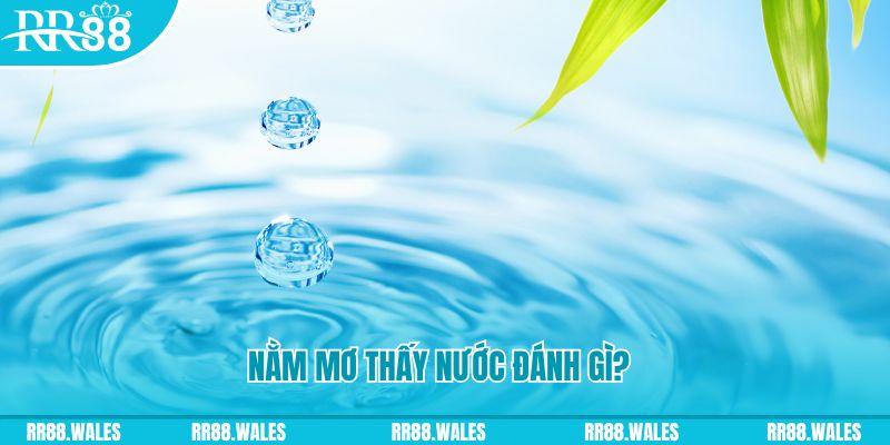 lucky 88 xổ số trực tiếp miền bắc