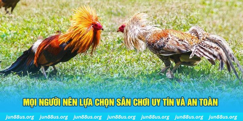 lucky 88 đăng nhập poker 2025