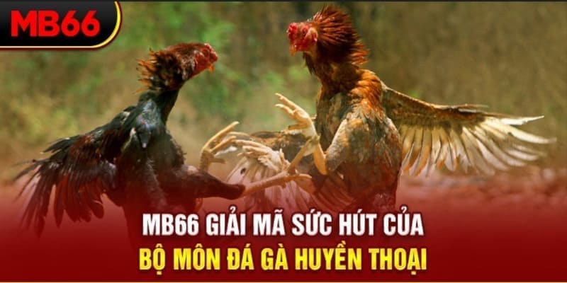 lucky 88 xổ số đài bắc