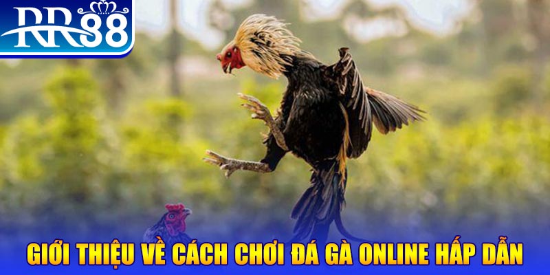 lucky 88 EvoPlay Điện Tử