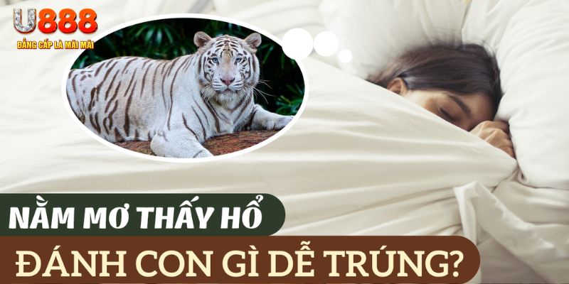 lucky 88 nohu .mx nổ hủ là gì