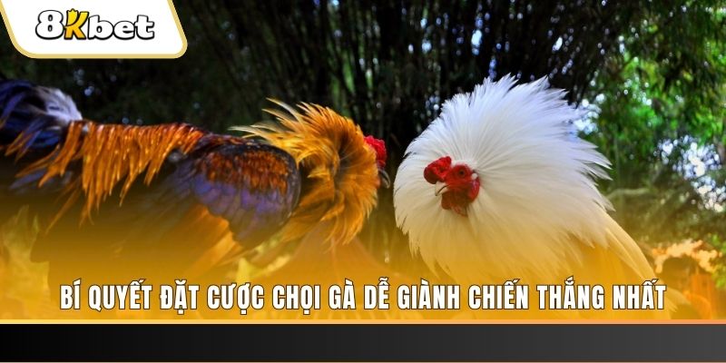 lucky 88 nổ hũ chơi như thế nào