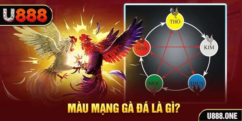lucky 88 V8 Game Bài 3d