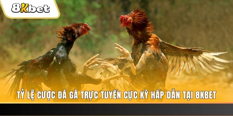lucky 88 xổ số miền bắc chủ nhật