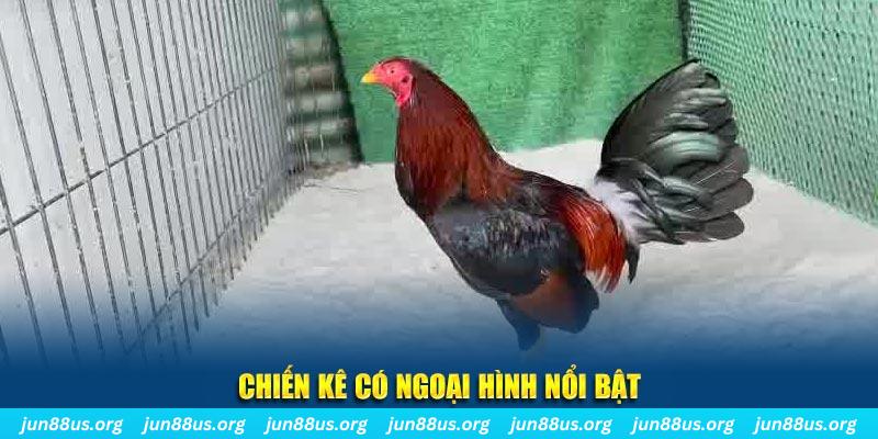 lucky 88 qq88 bắn cá