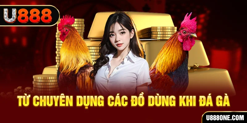 lucky 88 đăng nhập poker trực tiếp